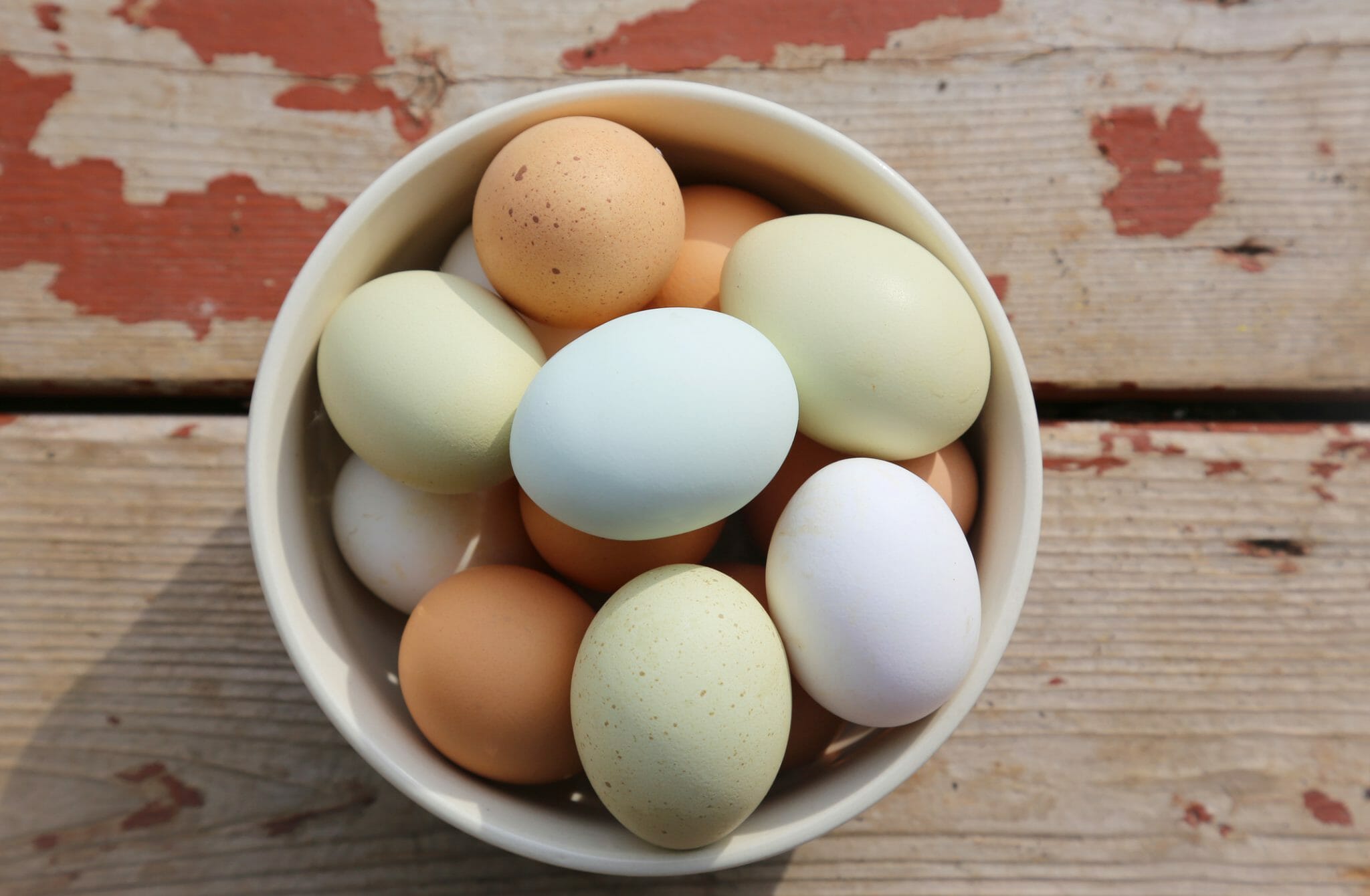Colorful farm fresh eggs in bowl on wood plank floor